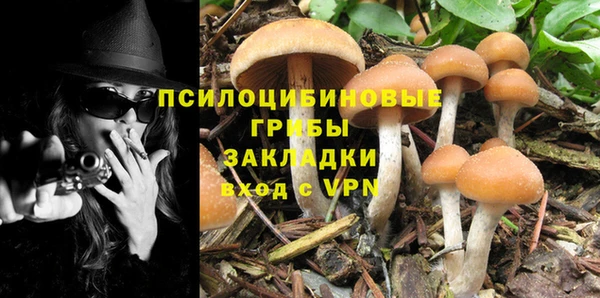 экстази Арсеньев