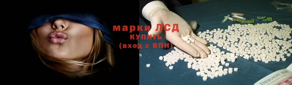 трава Аркадак